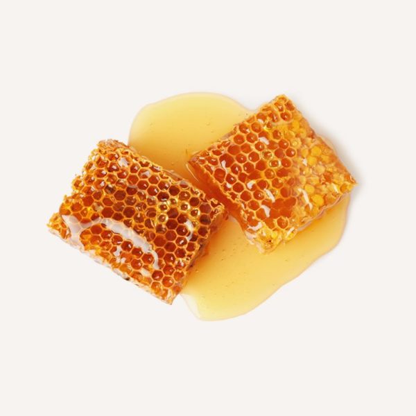 Darjeeling Forest Honey | 300gm